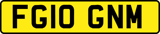 FG10GNM