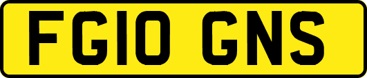 FG10GNS