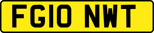FG10NWT