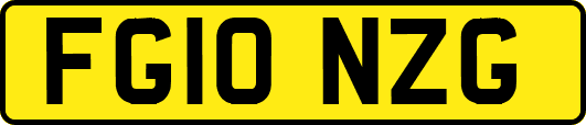 FG10NZG