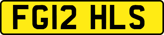 FG12HLS