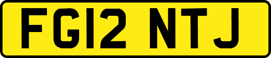 FG12NTJ