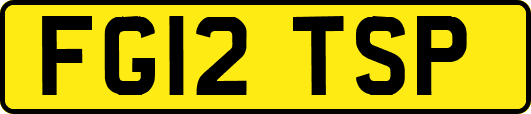 FG12TSP