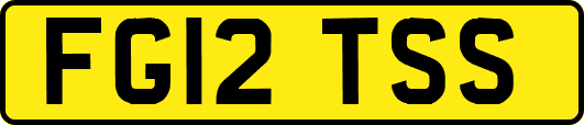 FG12TSS
