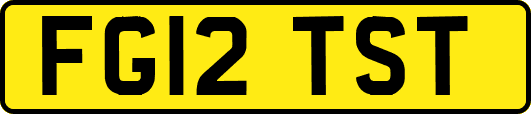 FG12TST