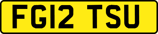 FG12TSU