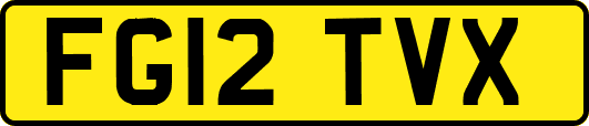 FG12TVX