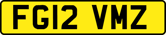 FG12VMZ