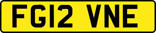 FG12VNE
