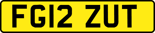 FG12ZUT