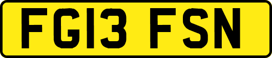 FG13FSN