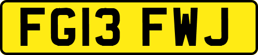 FG13FWJ