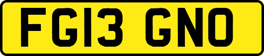 FG13GNO