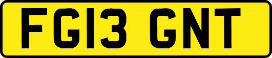 FG13GNT