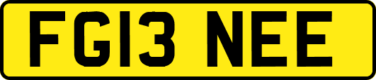 FG13NEE