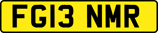 FG13NMR