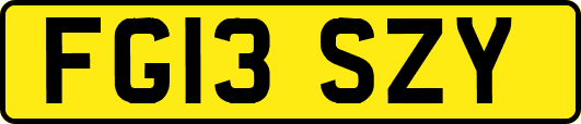 FG13SZY