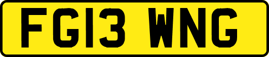 FG13WNG