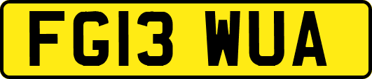 FG13WUA