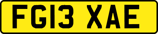 FG13XAE