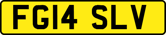 FG14SLV