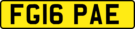 FG16PAE