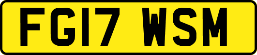 FG17WSM