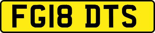 FG18DTS