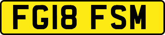 FG18FSM