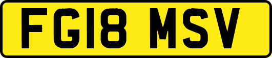 FG18MSV