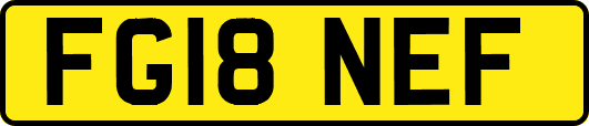 FG18NEF