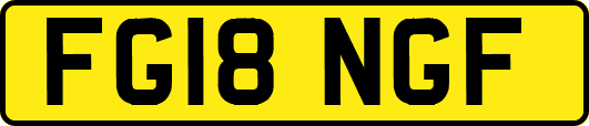 FG18NGF