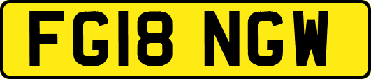 FG18NGW
