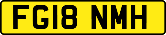 FG18NMH