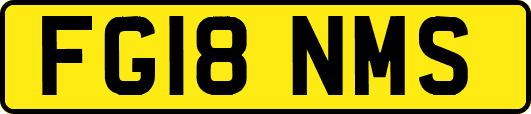 FG18NMS