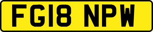 FG18NPW