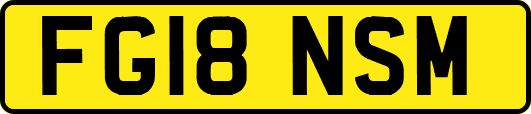 FG18NSM