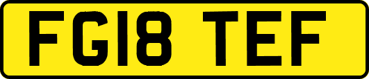 FG18TEF