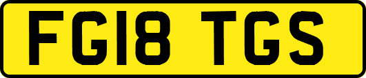 FG18TGS