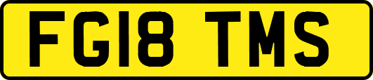 FG18TMS