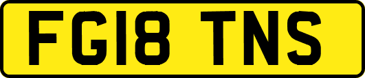 FG18TNS