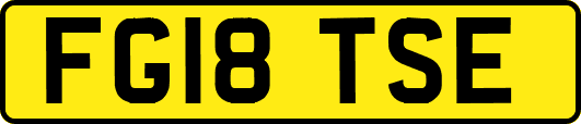 FG18TSE