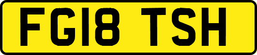 FG18TSH