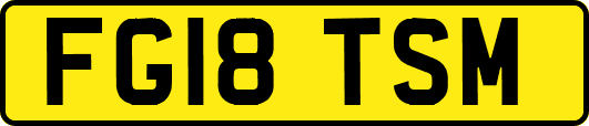 FG18TSM