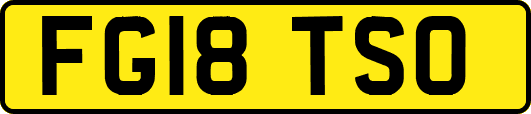 FG18TSO
