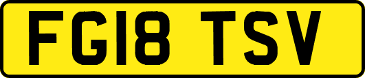 FG18TSV