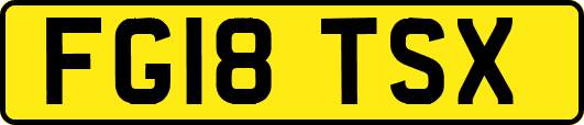 FG18TSX