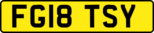 FG18TSY