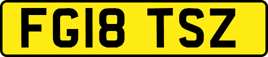 FG18TSZ