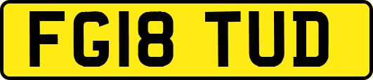 FG18TUD